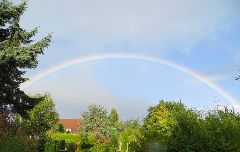 Regenbogen